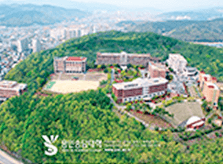 龍仁松澤大学